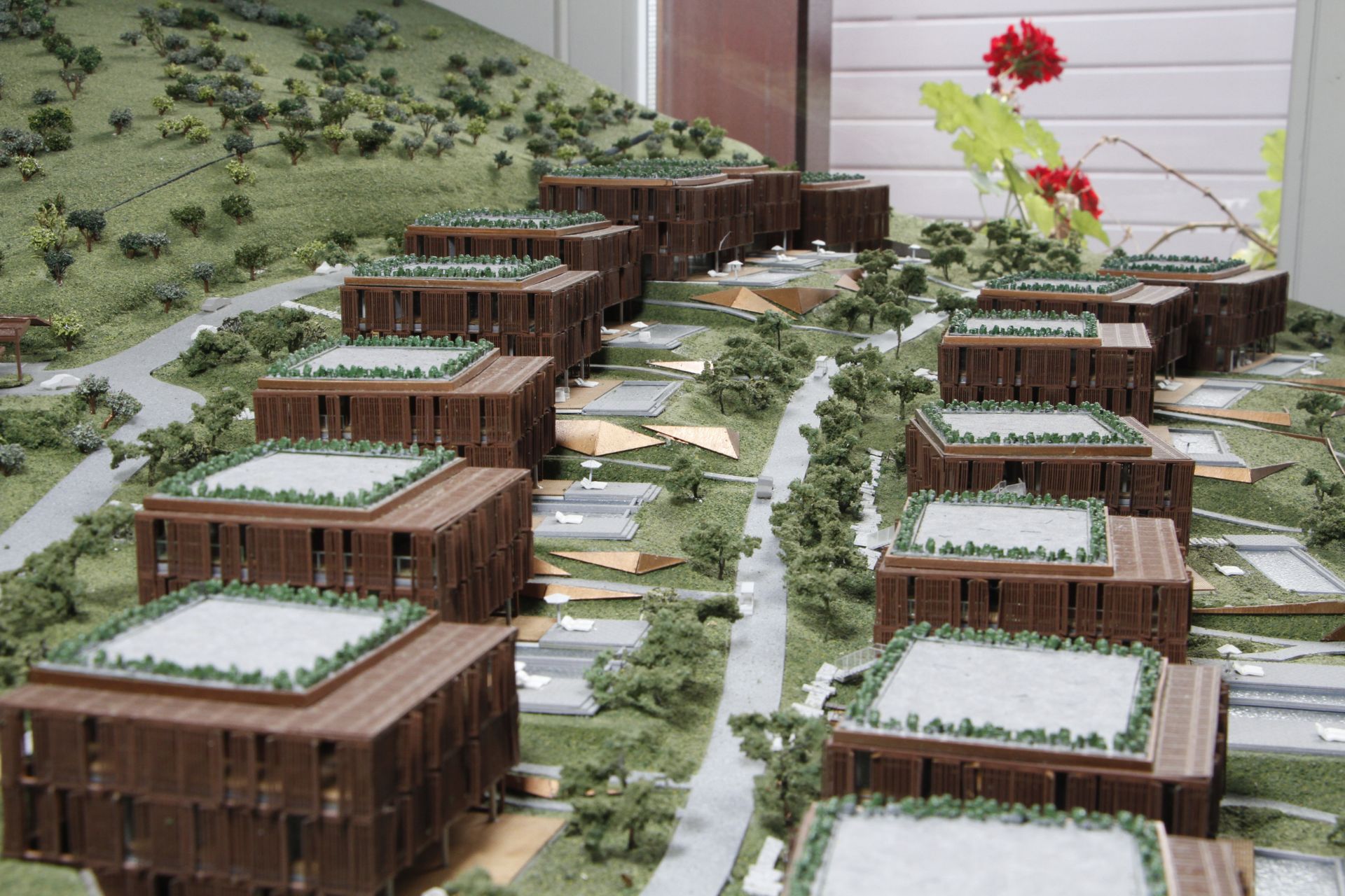 Barbaros Reserve – genel görünüm