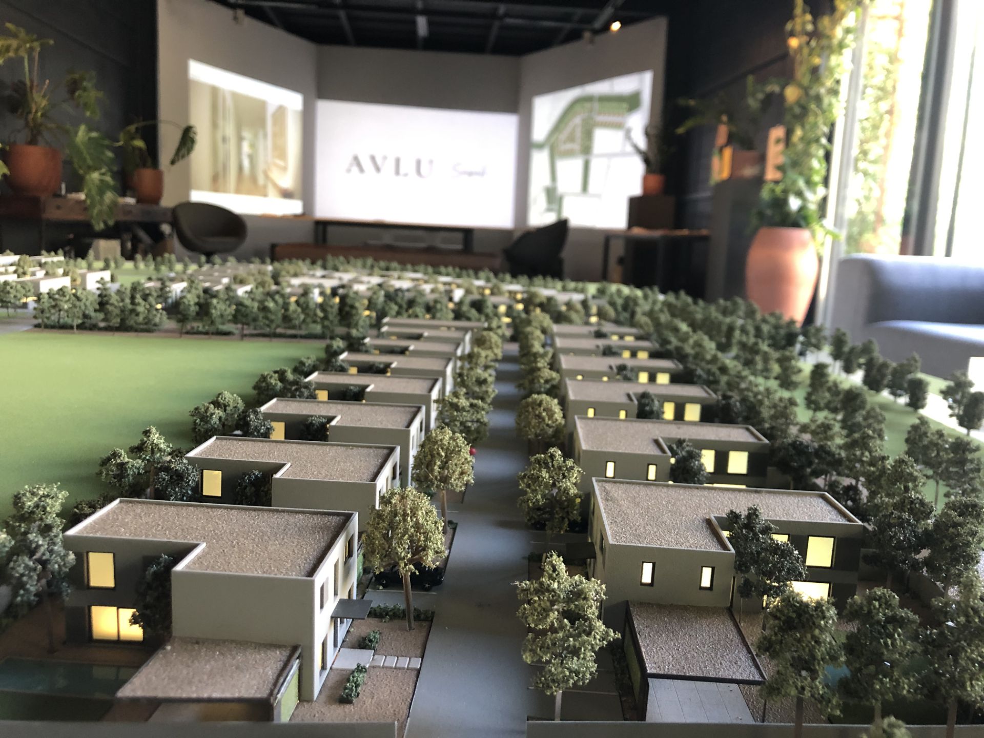 Avlu Sasalı – görsel 5